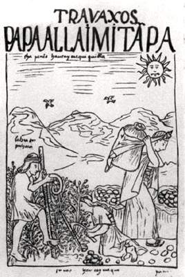 Тауантинсуйу.  Сбор урожая картофеля.  Гравюра.  XVI в.